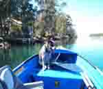 LakeConjolaFish's Avatar