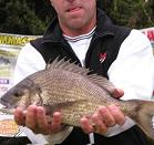 matchangler's Avatar