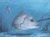 Pisces's Avatar