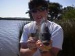 Hatto's Avatar
