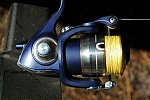 bassmano7's Avatar