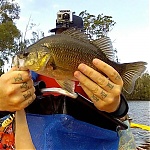 Herp Affinity's Avatar