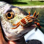 Ryan_Lomax's Avatar