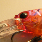 Coen Cameron's Avatar