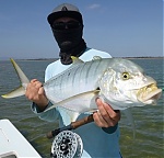 tug speedman's Avatar